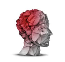 Concussion Awareness