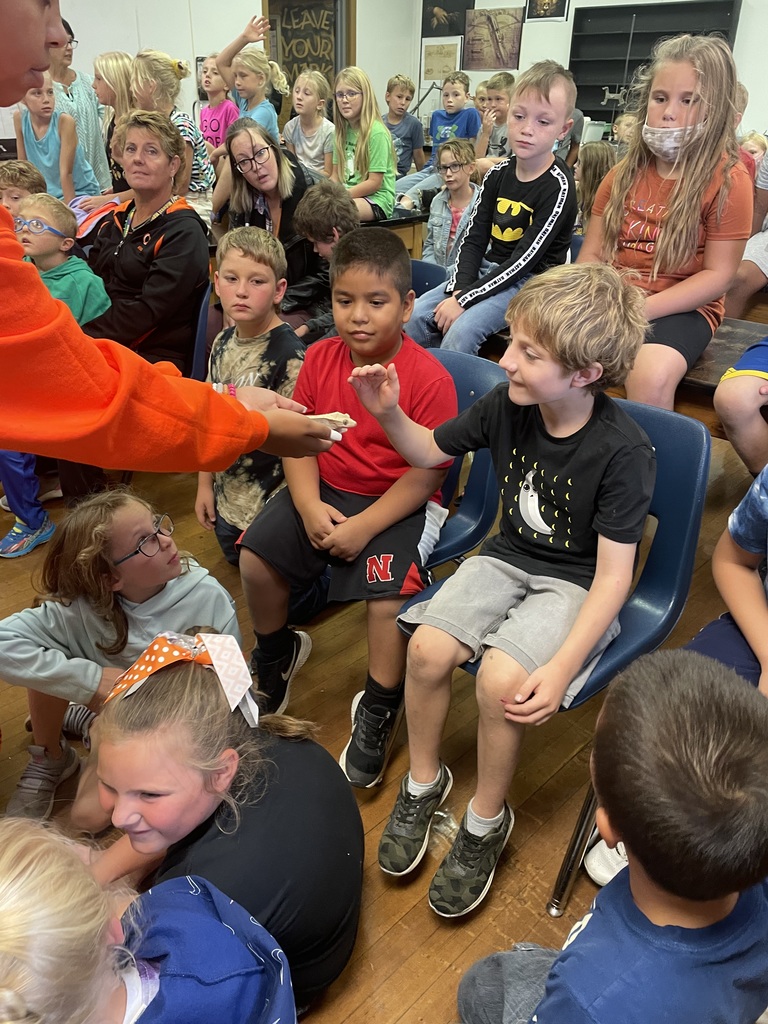 Second graders enjoyed the reptiles!