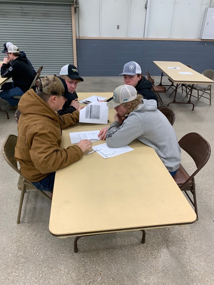 Boys Agronomy team working through the group activity .